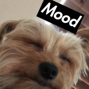 Meet your Posher, Rustin